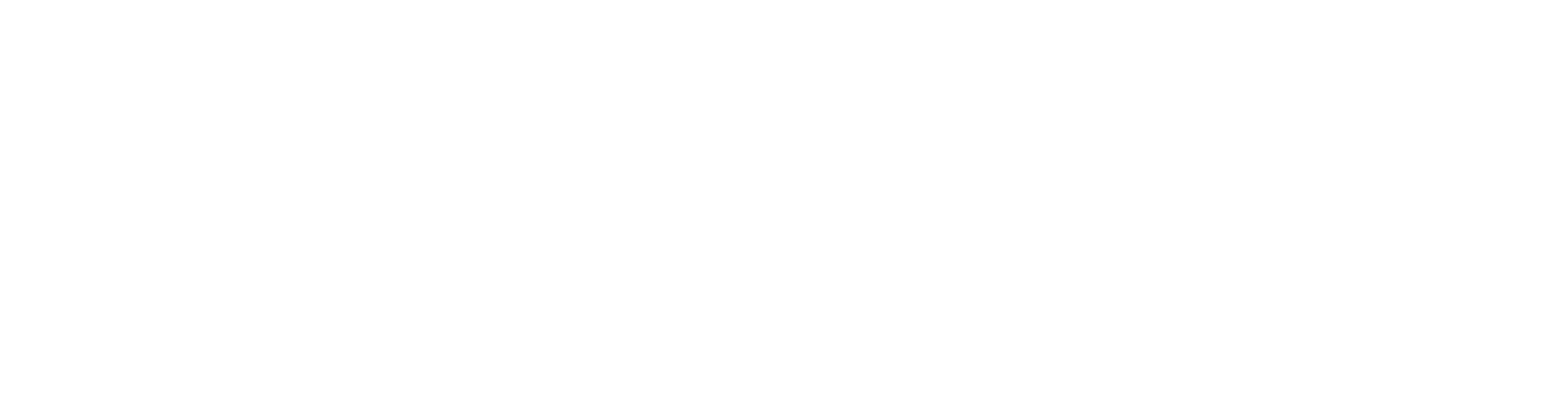 Four Sigmatic logo