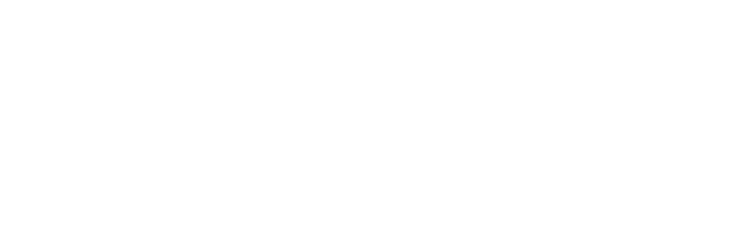 Skylight logo