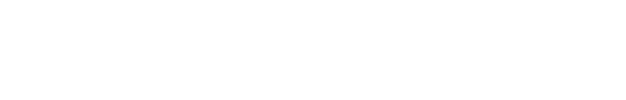 Bluestone Lane logo