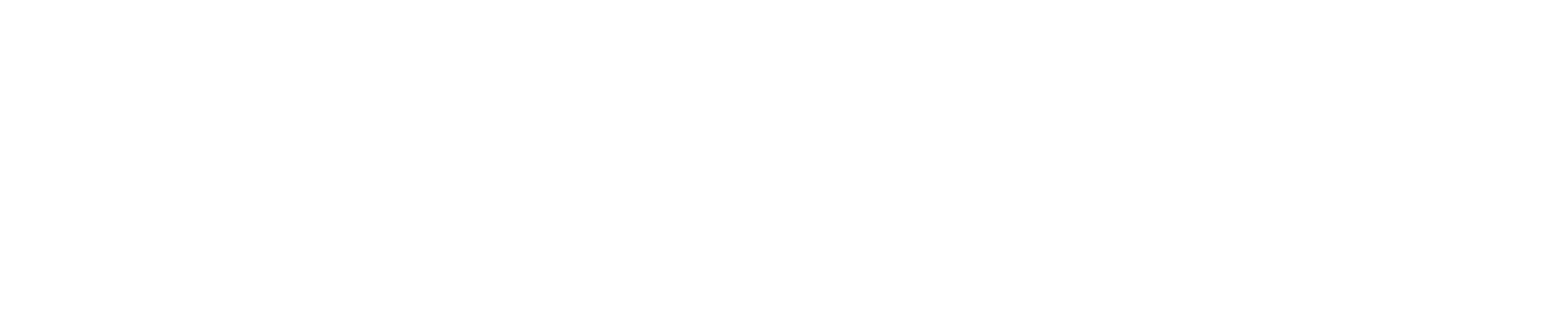 Actual Veggies logo