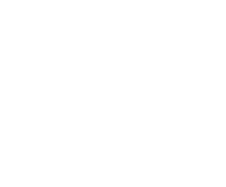 Anti Fund logo