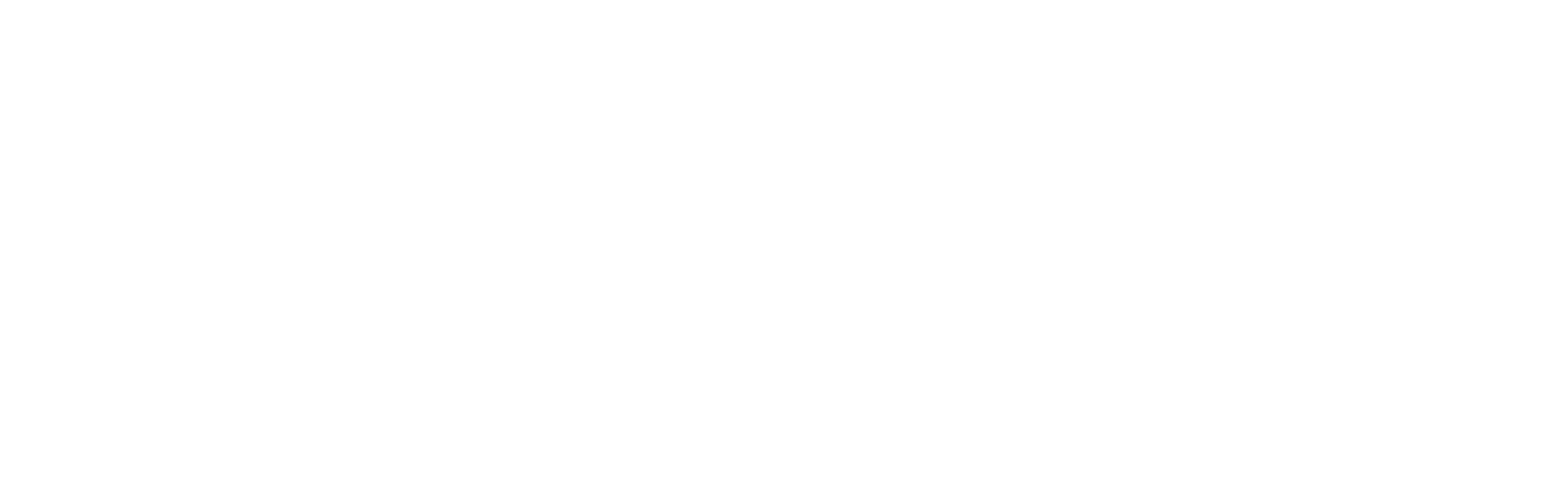 ZICO logo